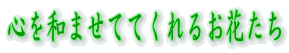 Sa܂ĂĂ邨Ԃ 