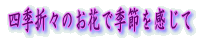 lG܁X̂ԂŋG߂